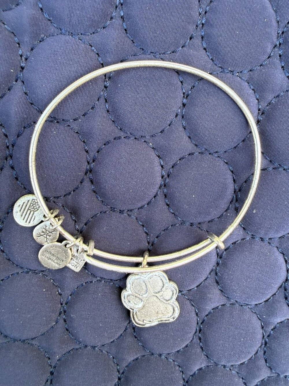 Alex and Ani Paw Print Charm Bracelet, Silver-Tone